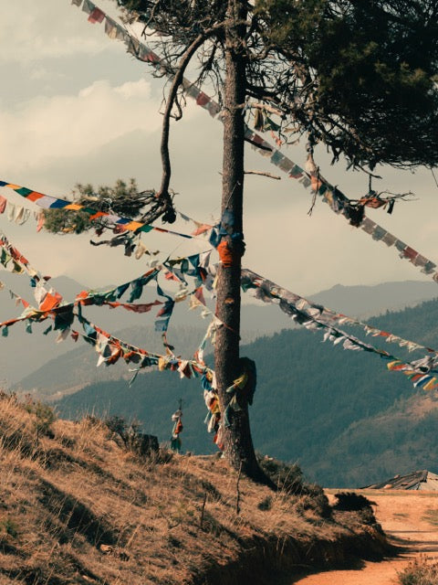 Romain Laprade - Drapeaux de prière, Bhutan, 2018