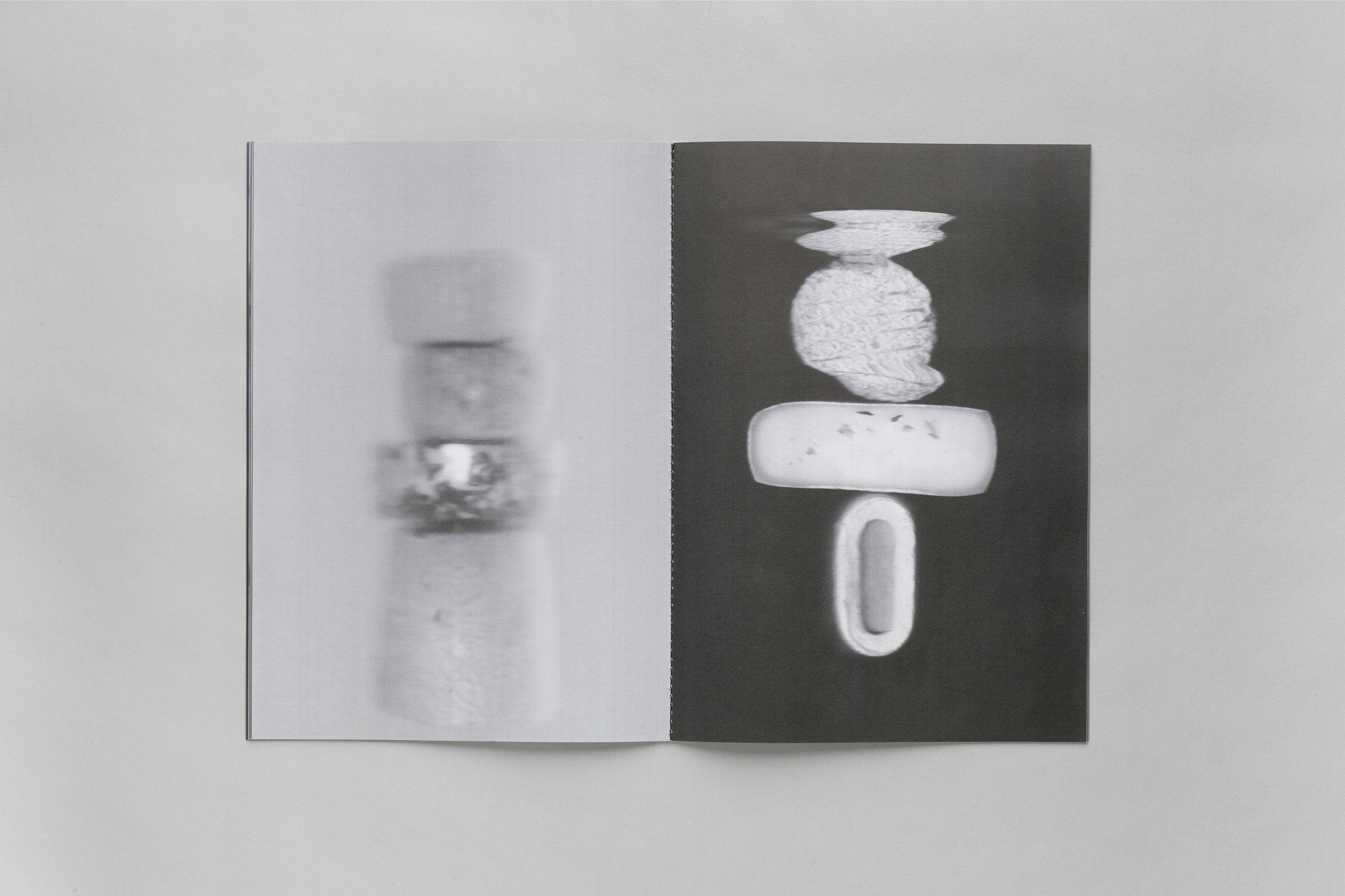 Inès Mélia - The Domestic Life