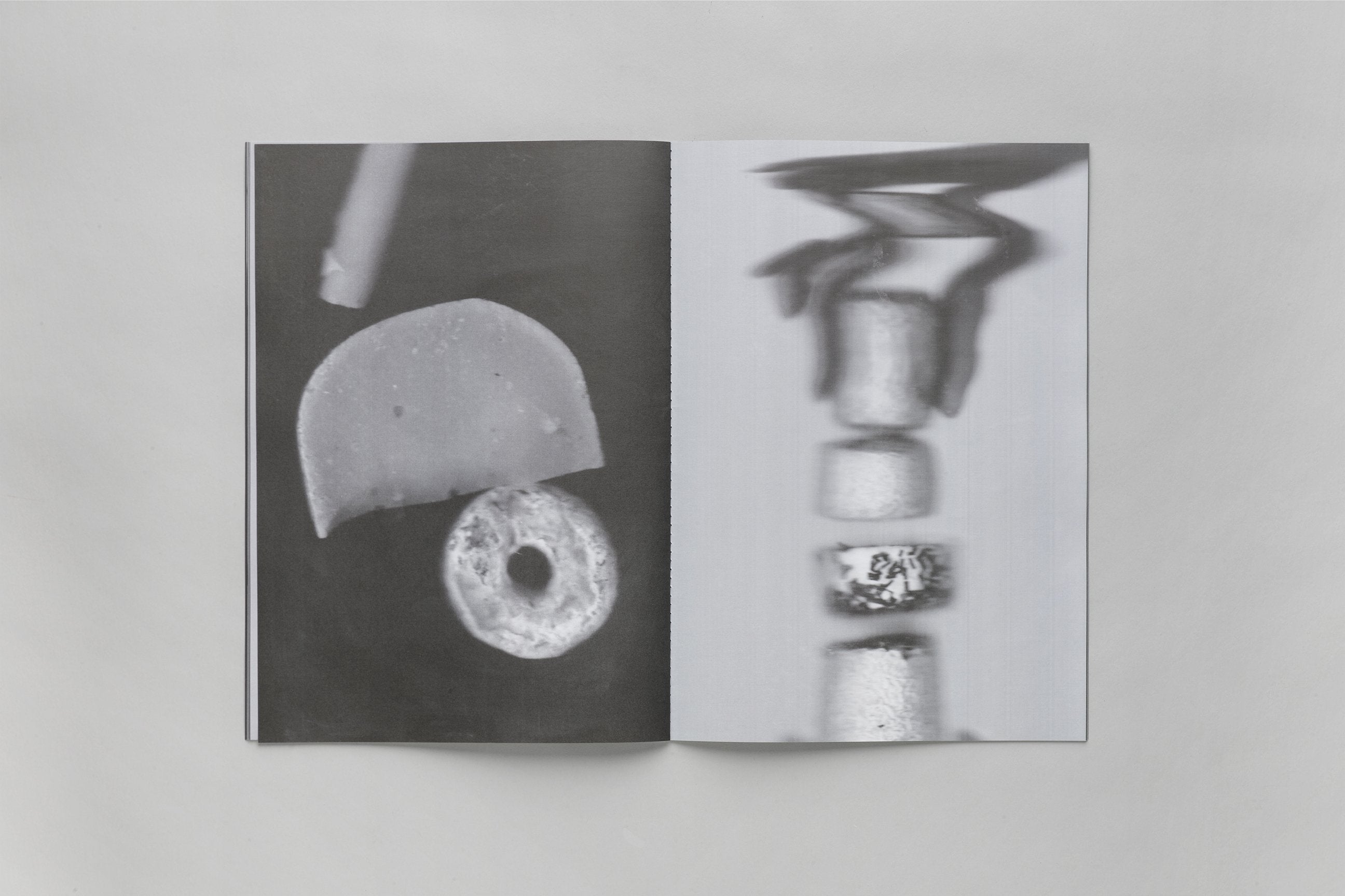 Inès Mélia - The Domestic Life