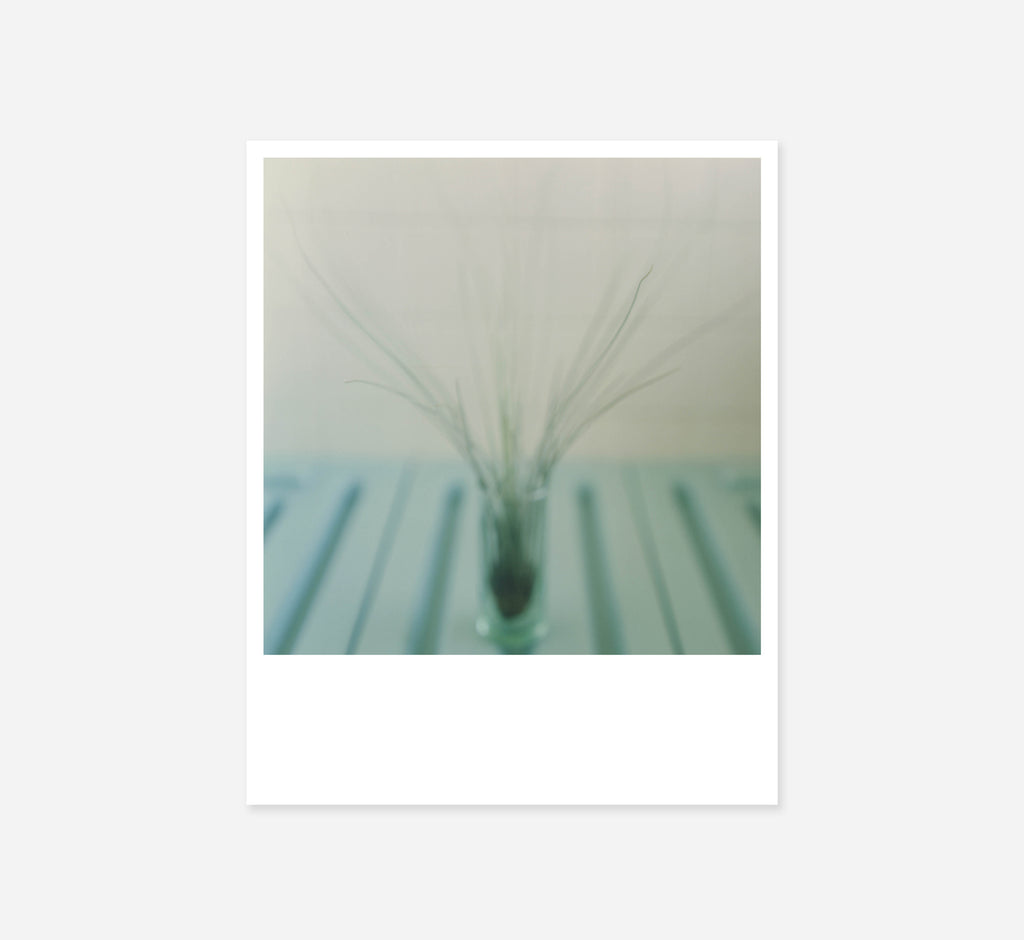 Rinko Kawauchi - Early Works 1997 (Mini Portfolio)
