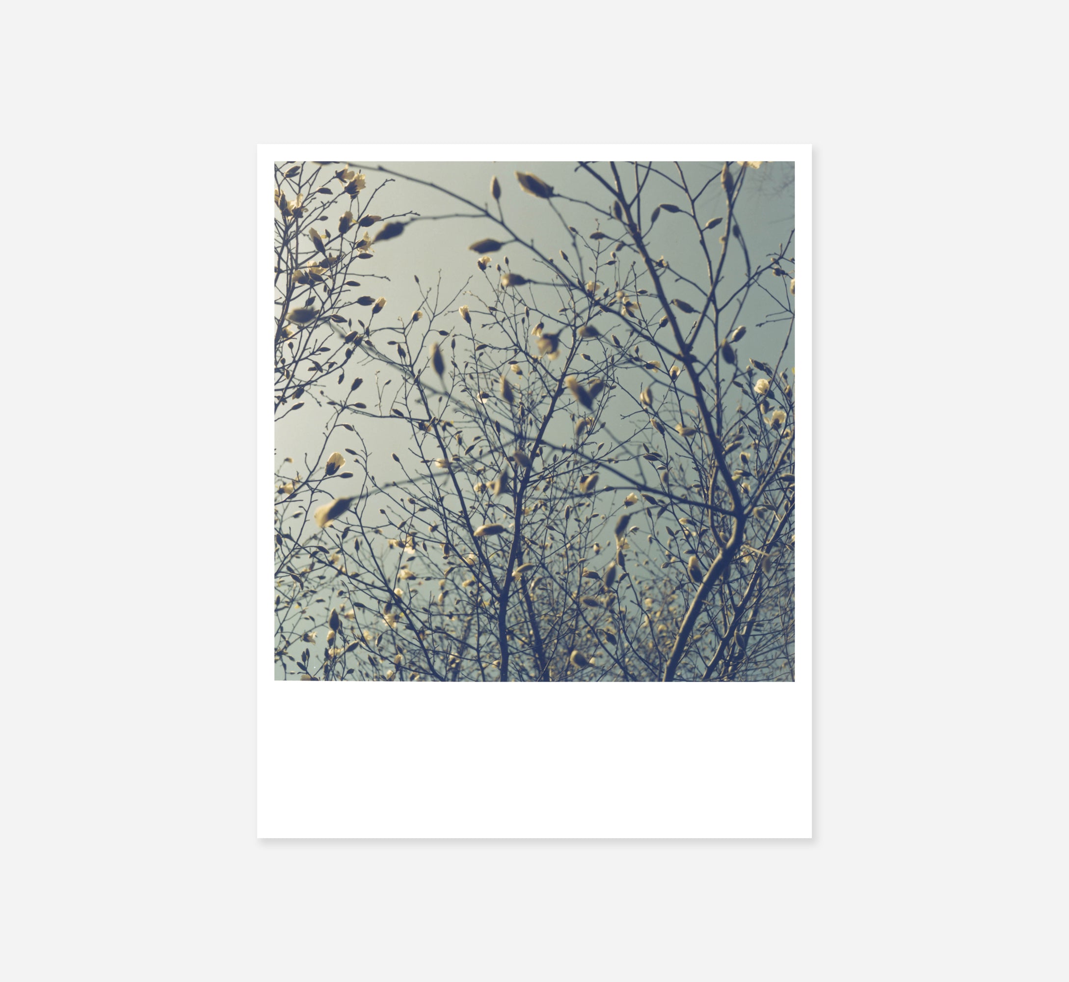 Rinko Kawauchi - Early Works 1997 (Mini Portfolio)