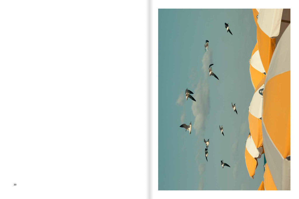 Romain Laprade - Distances Vol.II