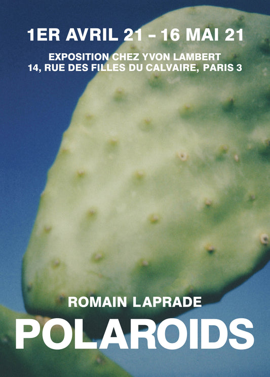 Romain Laprade - Polaroids (Posters)