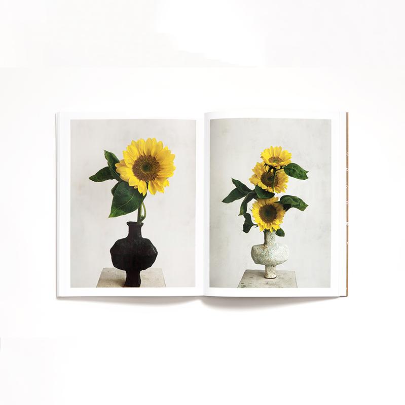 JUST AN IDEA - LOUIS-GÉRAUD CASTOR