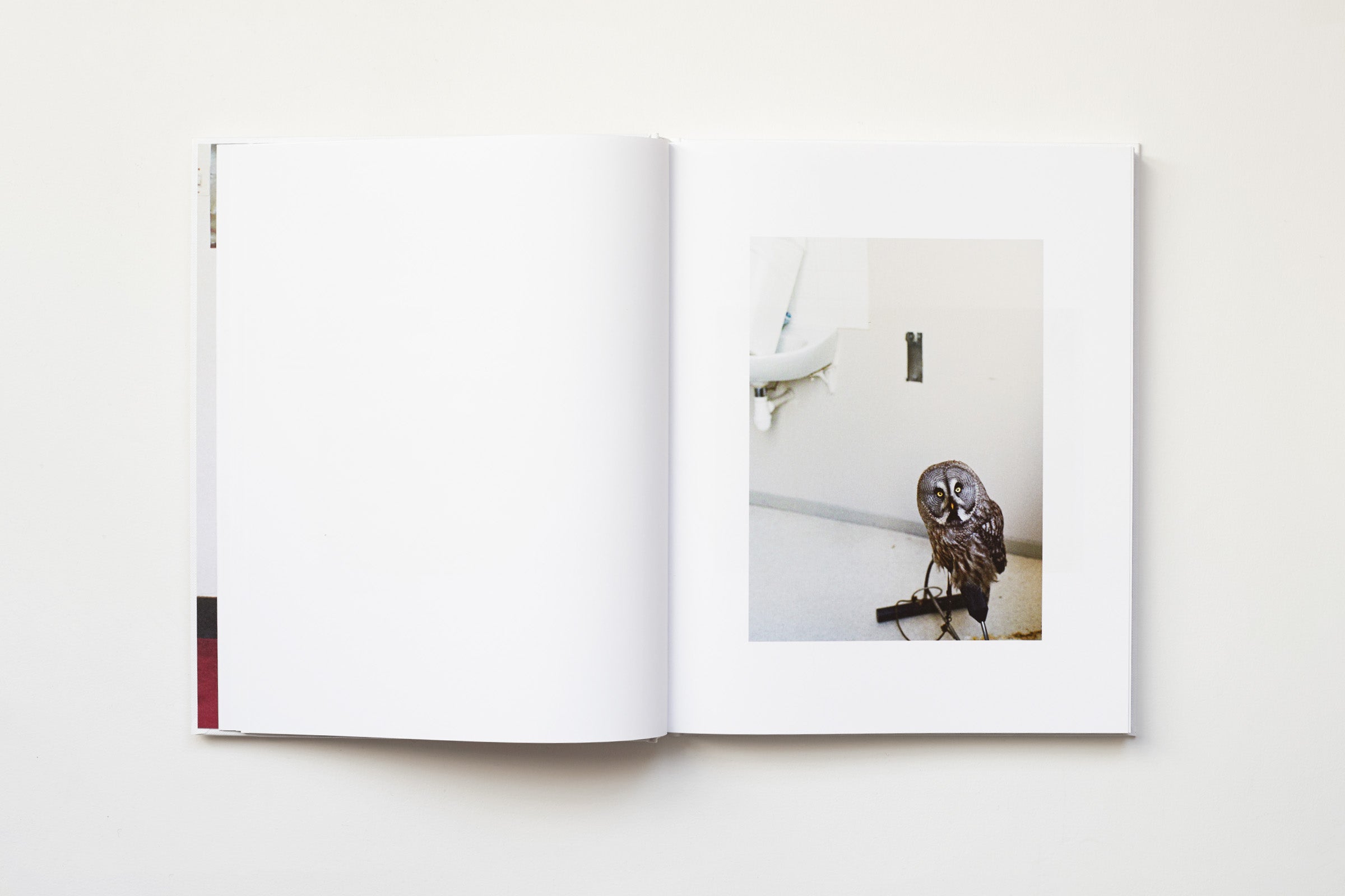 Estelle Hanania - IT’S ALIVE! A travers l’œuvre de Gisèle Vienne