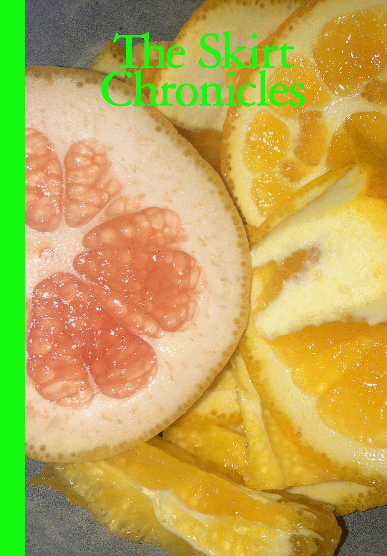 The Skirt Chronicles - Issue VII