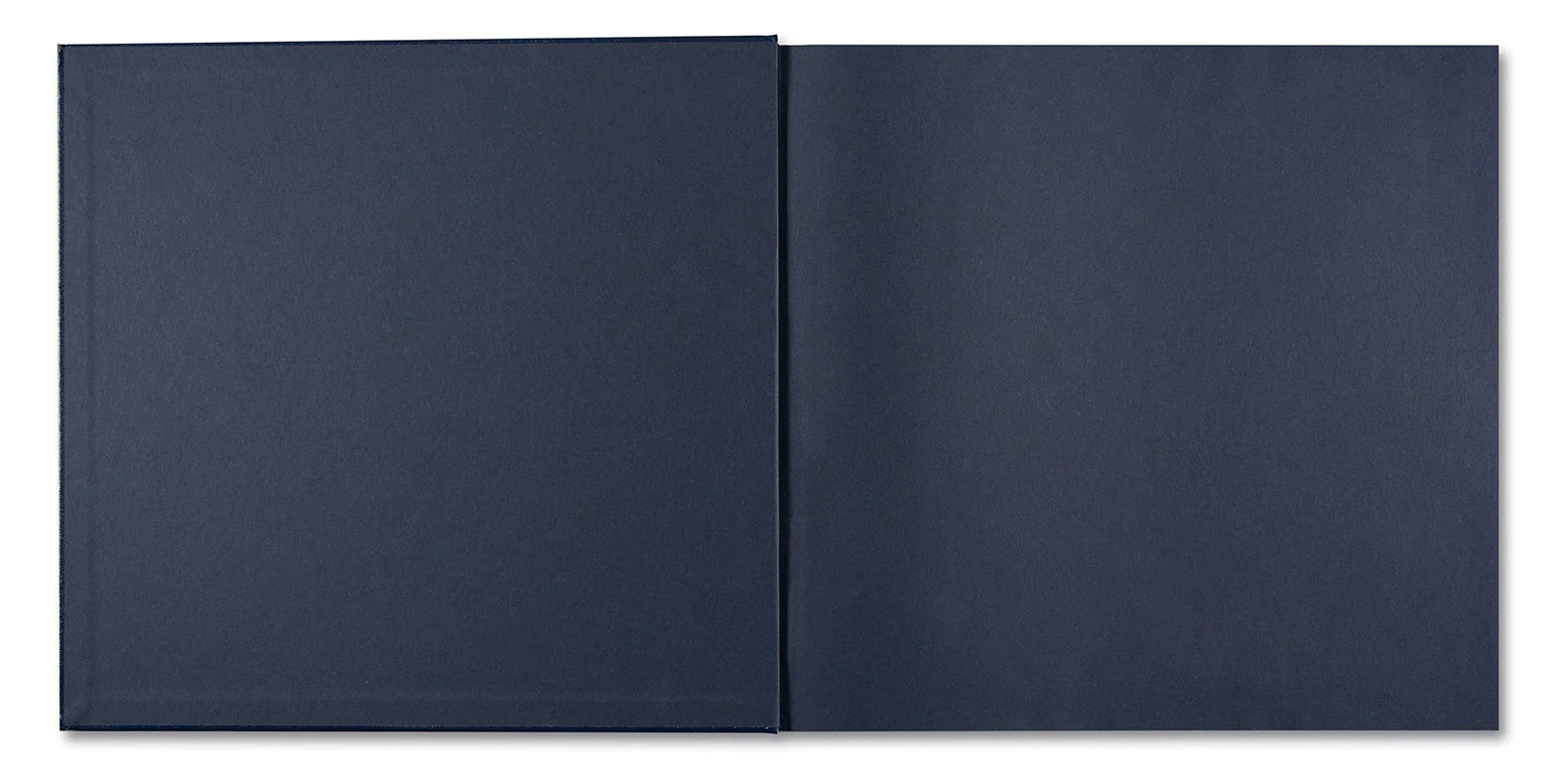 Alessandra Sanguinetti - Some Say Ice (Signed)