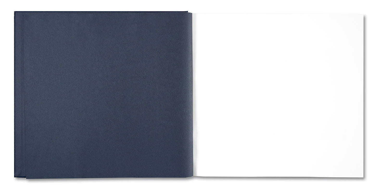 Alessandra Sanguinetti - Some Say Ice (Signed)