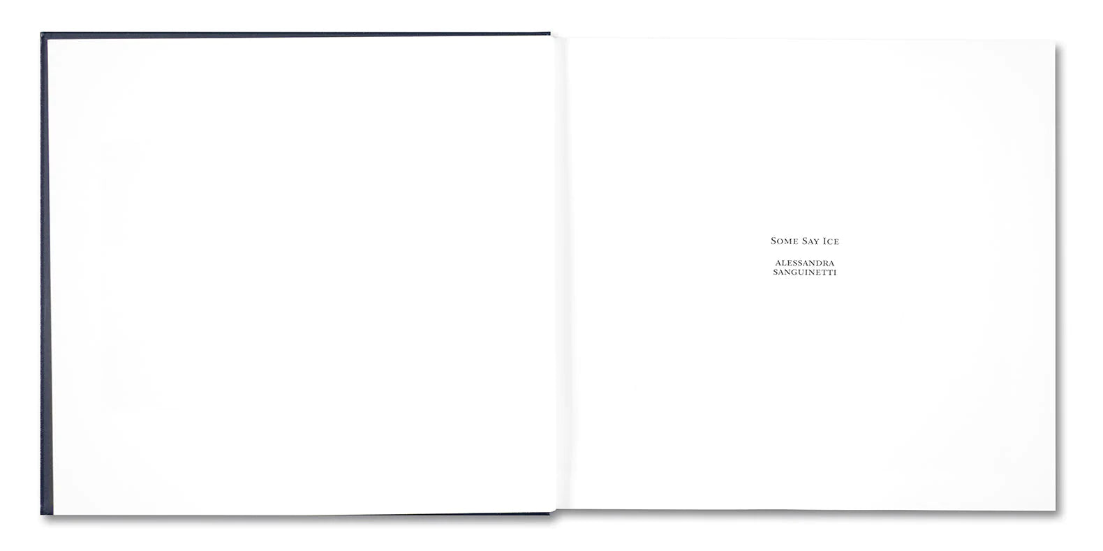 Alessandra Sanguinetti - Some Say Ice (Signed)