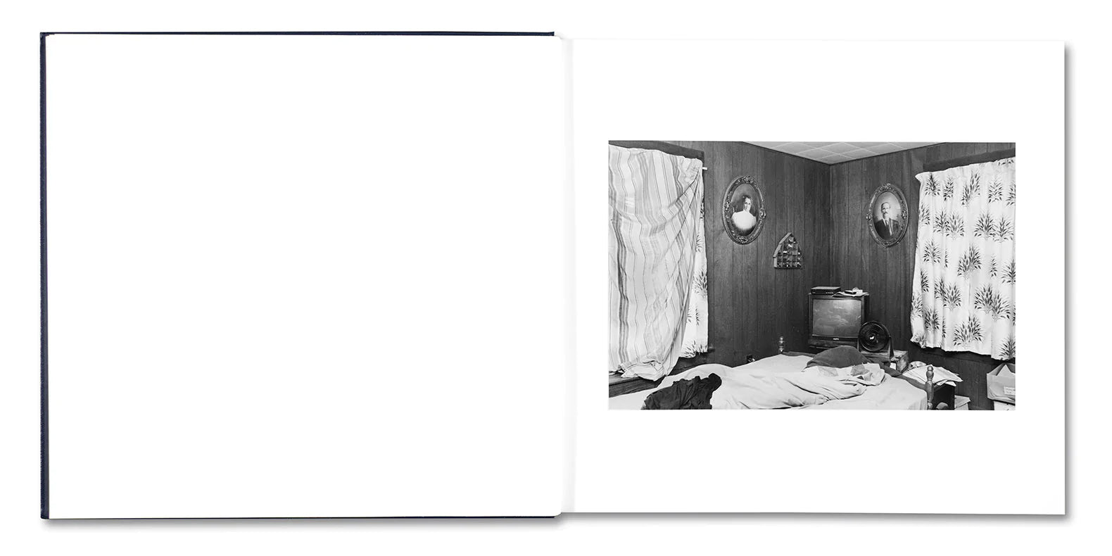 Alessandra Sanguinetti - Some Say Ice (Signed)