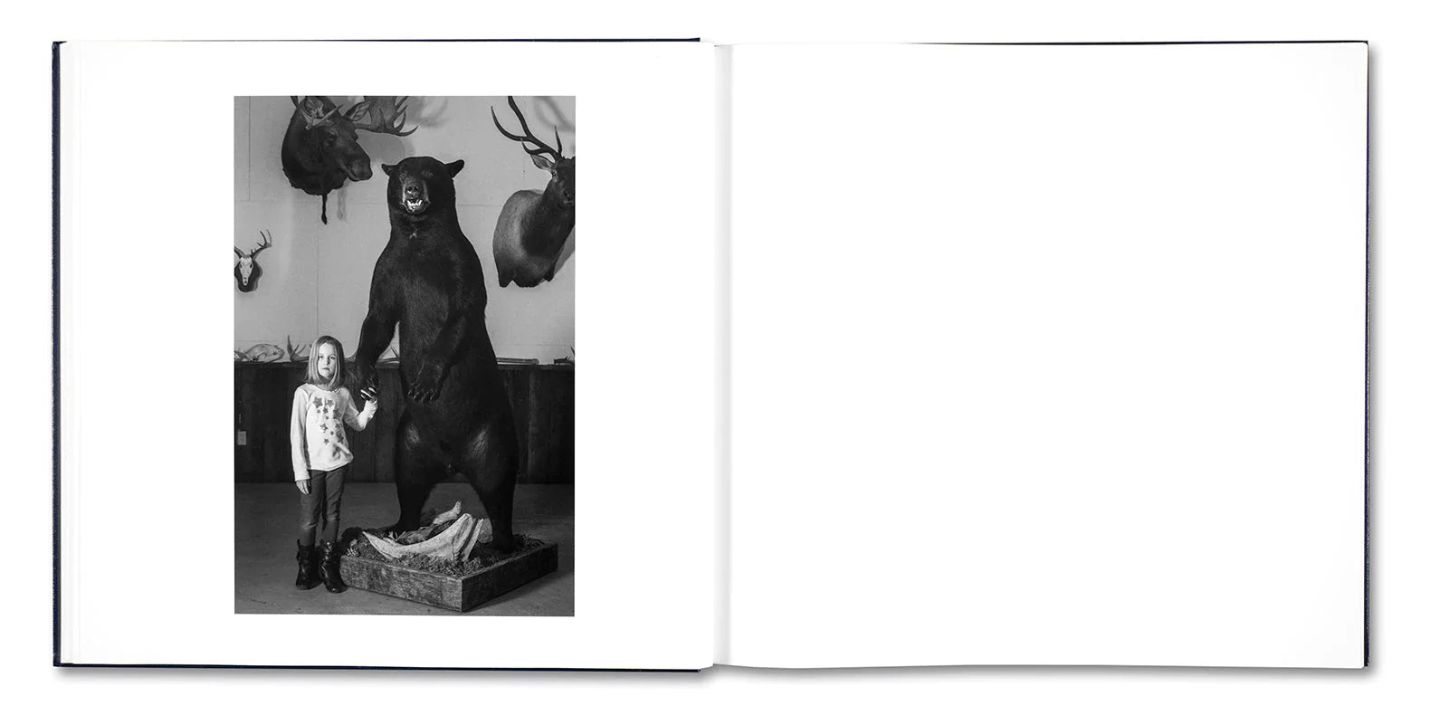 Alessandra Sanguinetti - Some Say Ice (Signed)