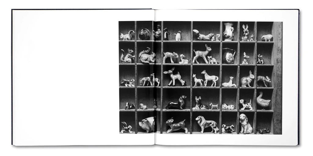 Alessandra Sanguinetti - Some Say Ice (Signed)