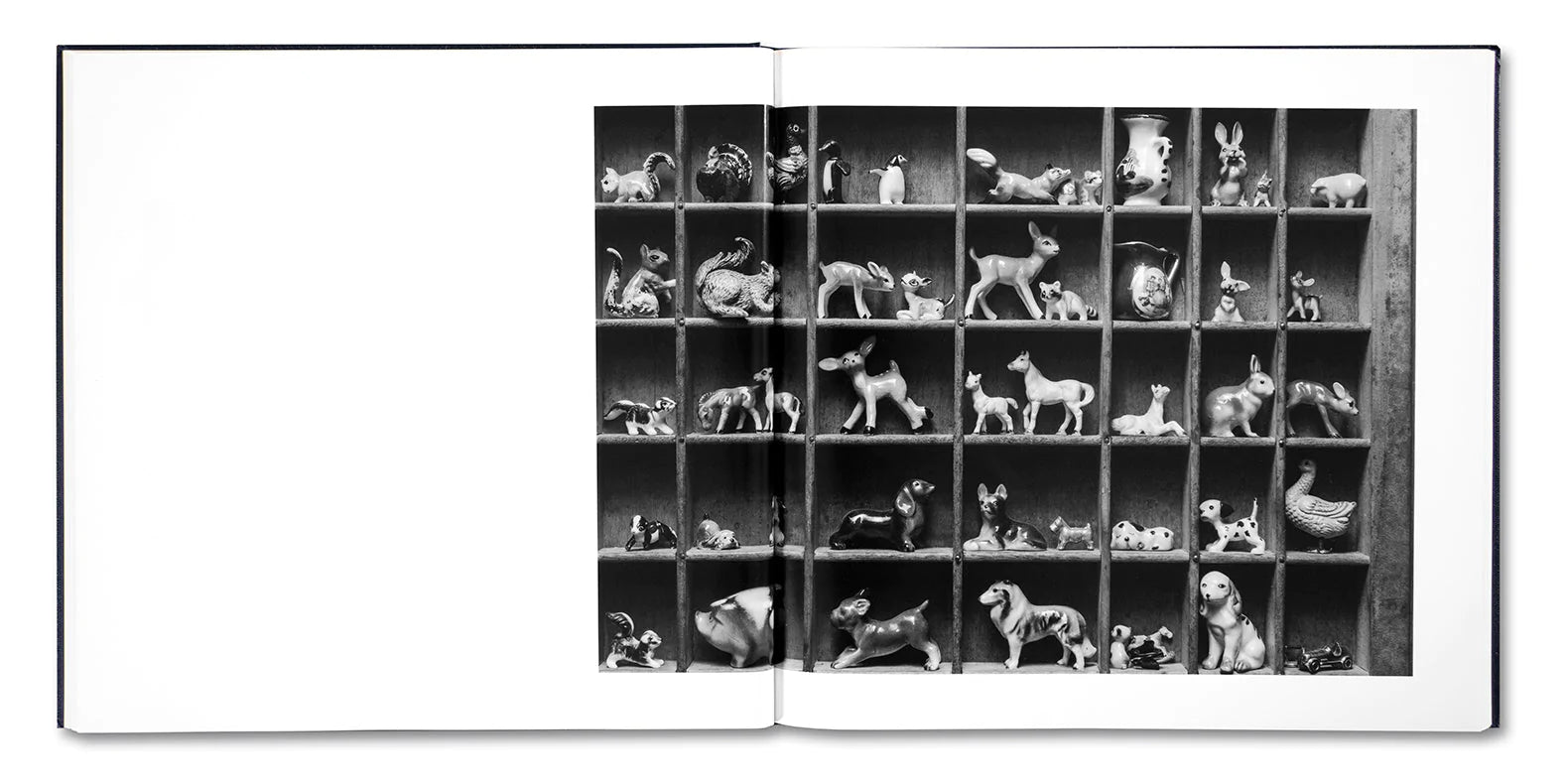 Alessandra Sanguinetti - Some Say Ice (Signed)