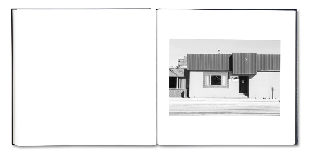 Alessandra Sanguinetti - Some Say Ice (Signed)