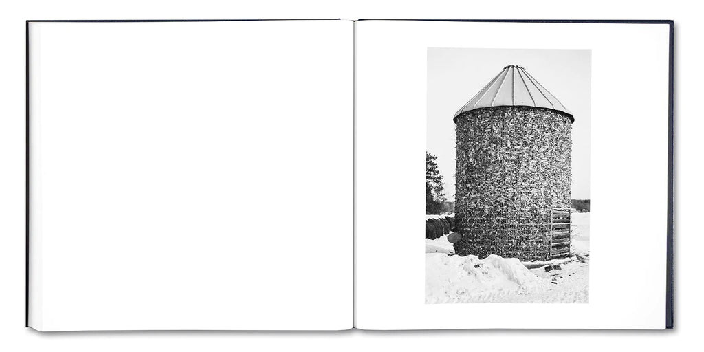 Alessandra Sanguinetti - Some Say Ice (Signed)