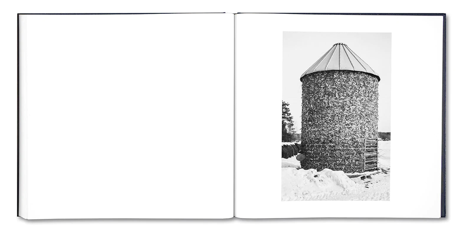 Alessandra Sanguinetti - Some Say Ice (Signed)