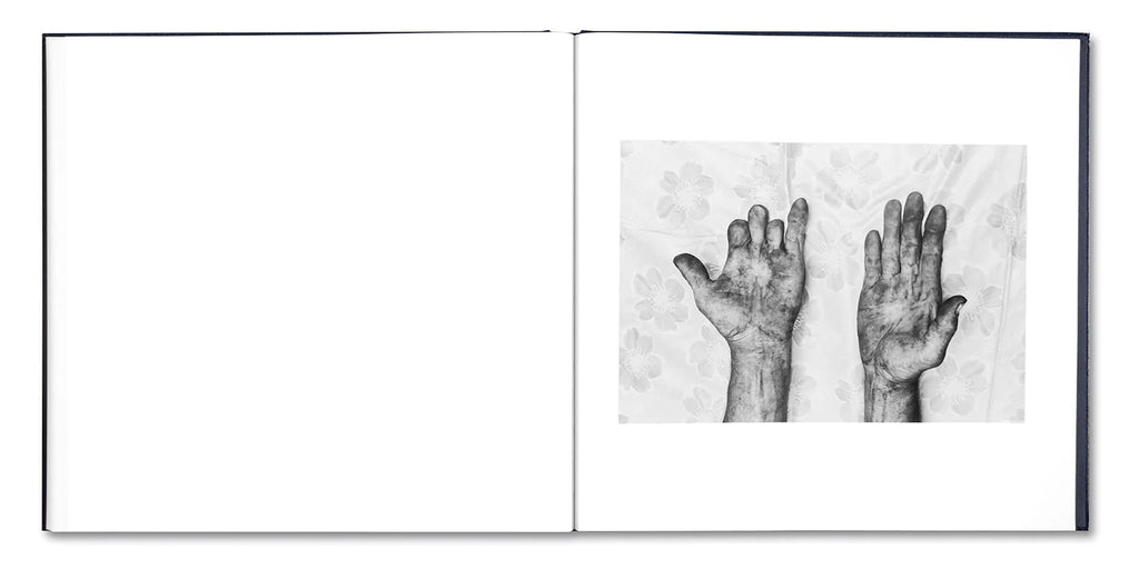 Alessandra Sanguinetti - Some Say Ice (Signed)