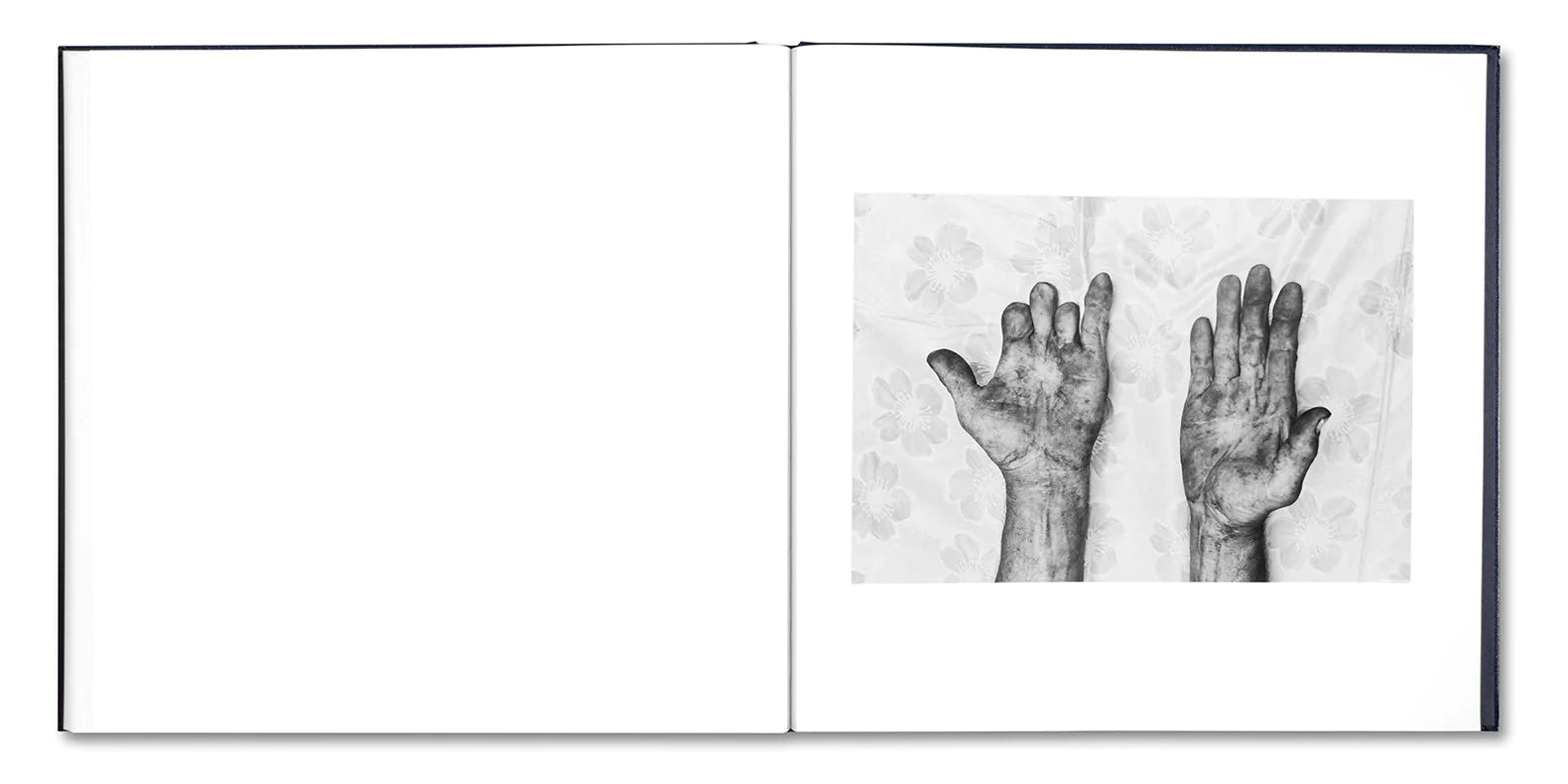 Alessandra Sanguinetti - Some Say Ice (Signed)