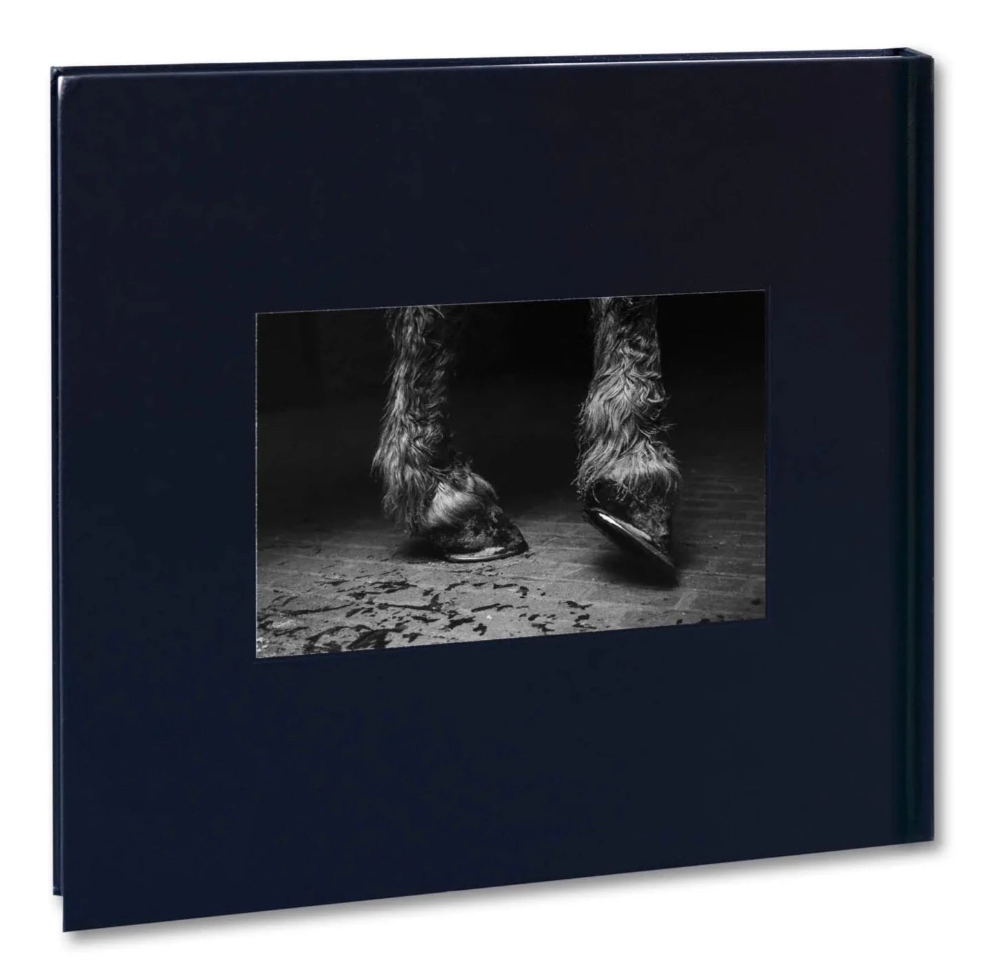 Alessandra Sanguinetti - Some Say Ice (Signed)