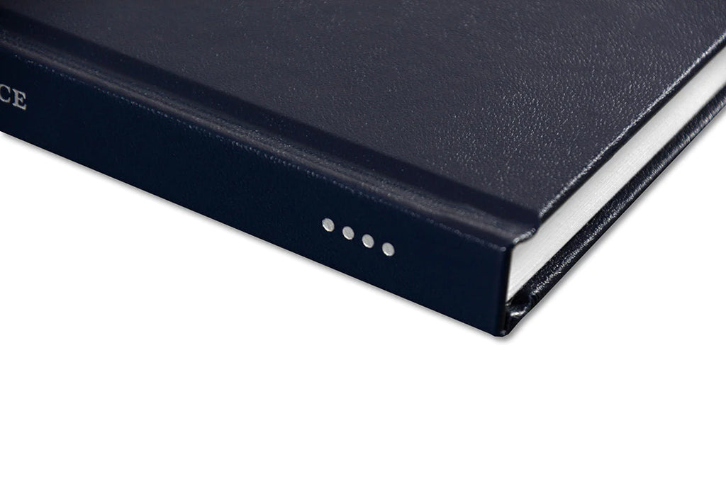 Alessandra Sanguinetti - Some Say Ice (Signed)