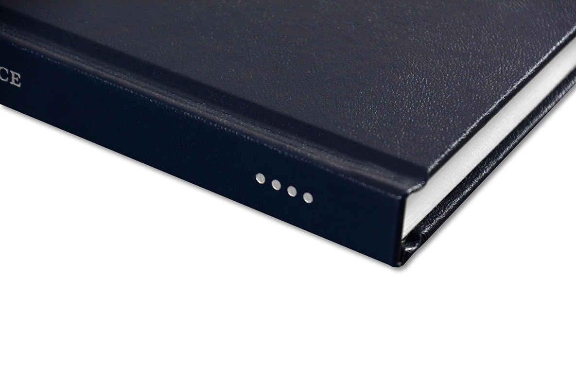 Alessandra Sanguinetti - Some Say Ice (Signed)