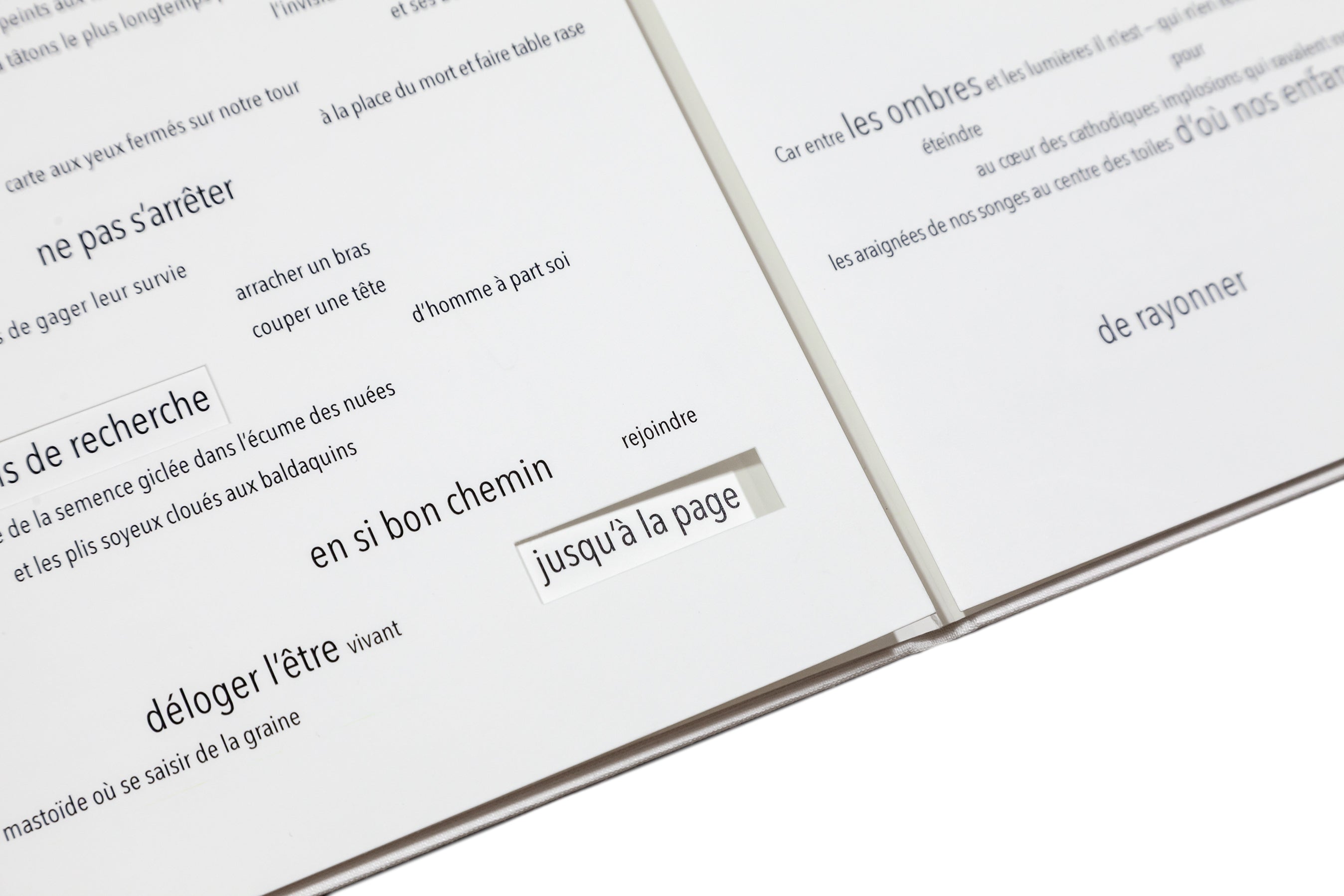 Stéphane Crémer - Programme