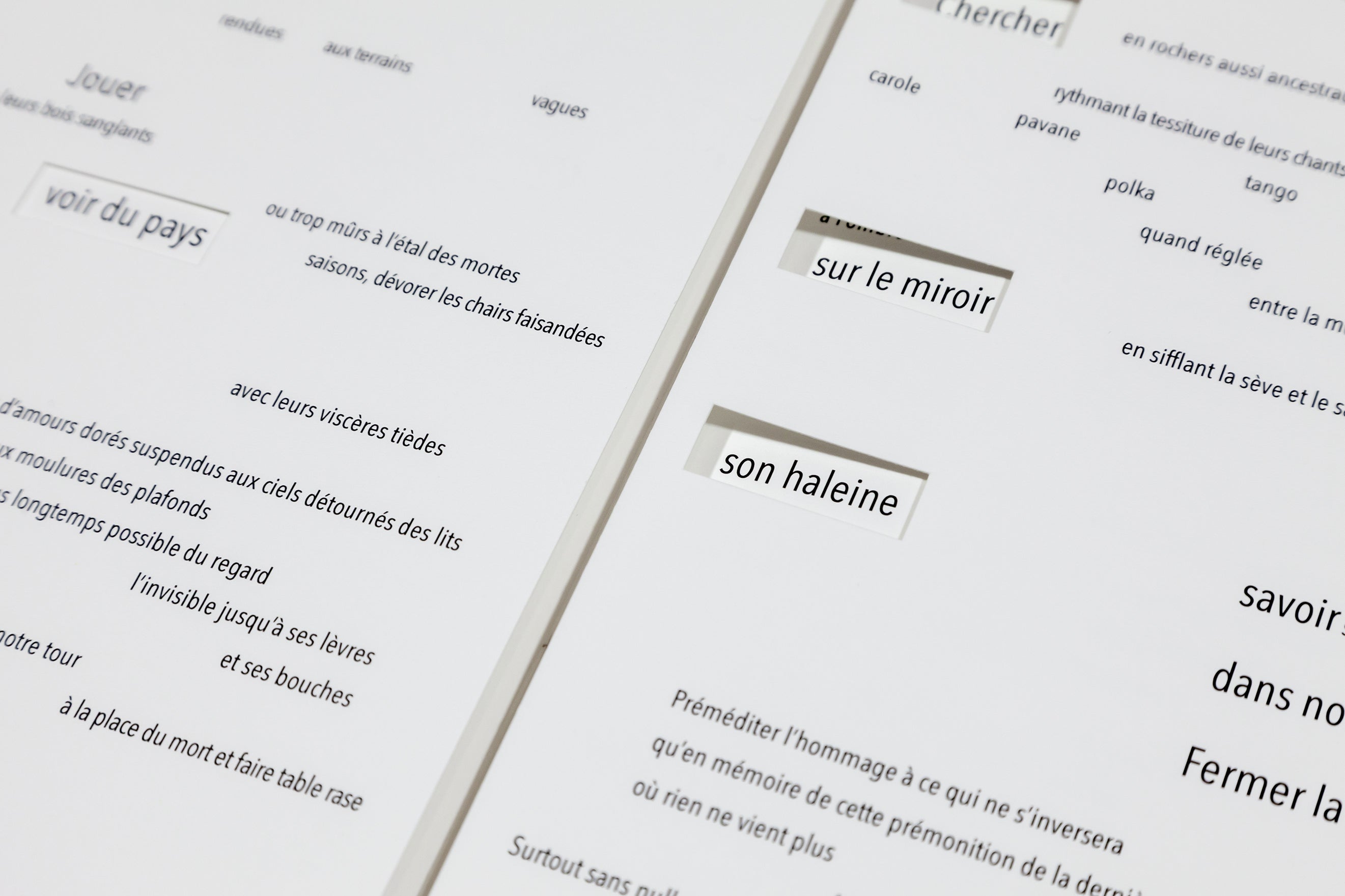 Stéphane Crémer - Programme