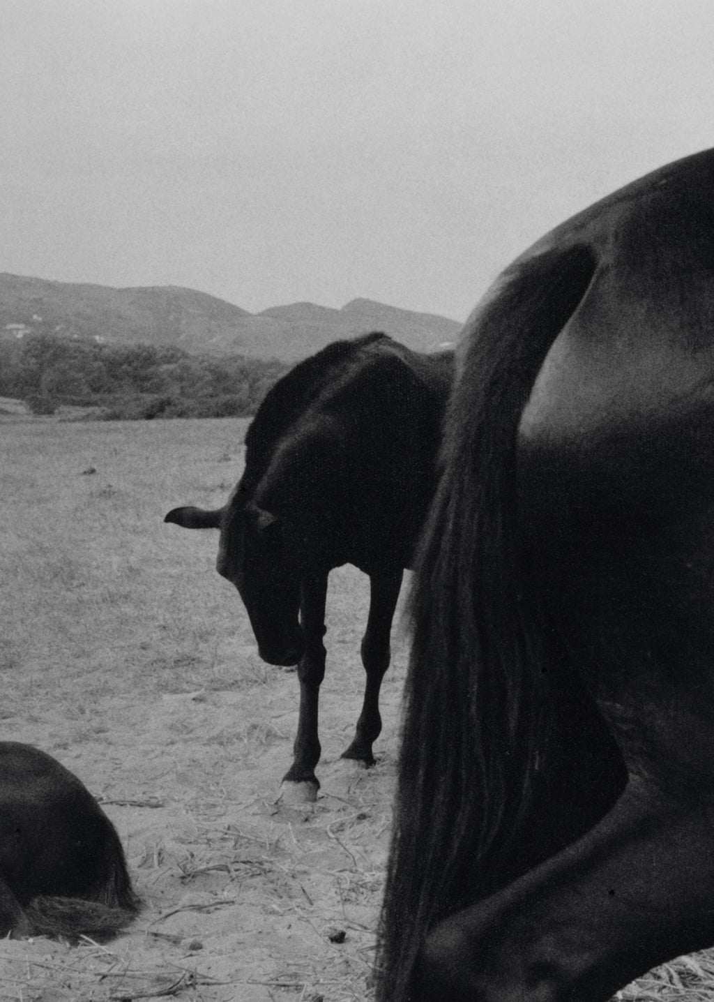 Suffo Moncloa - Walk To The Moon