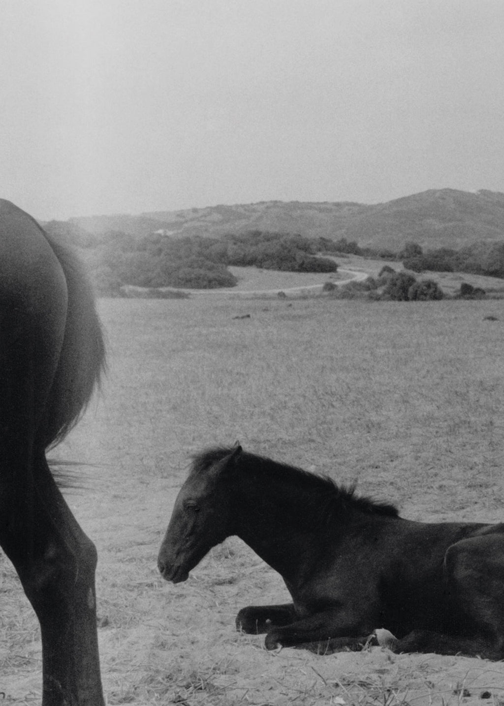 Suffo Moncloa - Walk To The Moon