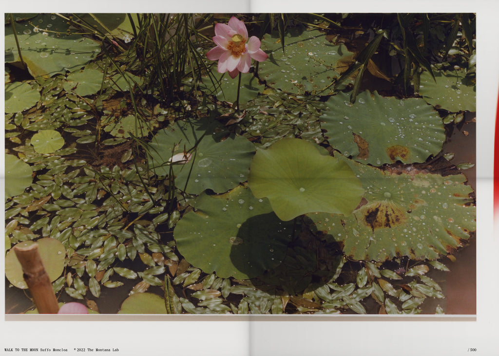 Suffo Moncloa - Walk To The Moon