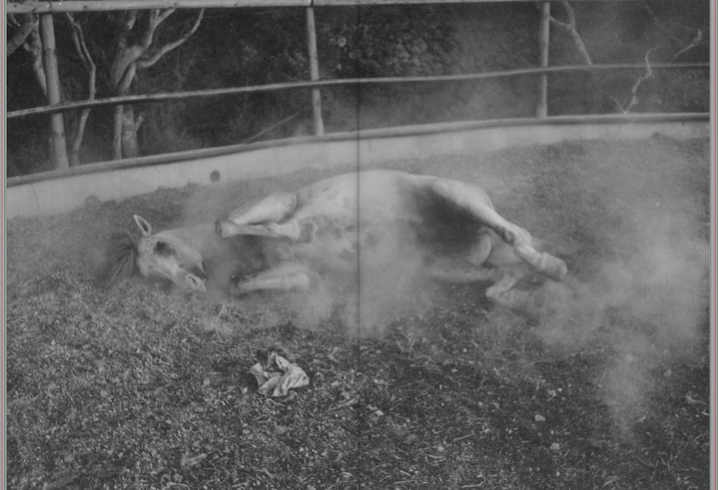 Suffo Moncloa - Walk To The Moon