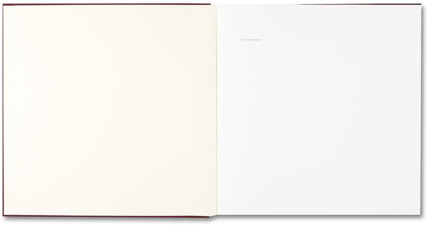 Alessandra Sanguinetti - The Adventures of Guille and Belinda and The Enigmatic Meaning of Their Dreams