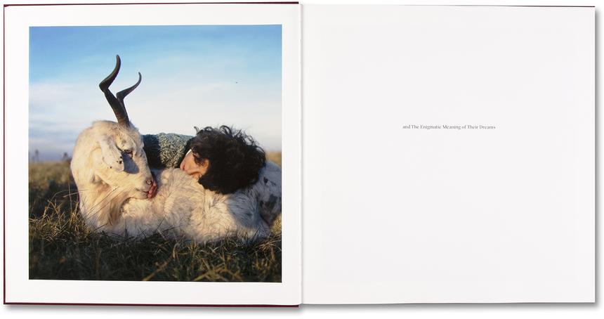 Alessandra Sanguinetti - The Adventures of Guille and Belinda and The Enigmatic Meaning of Their Dreams