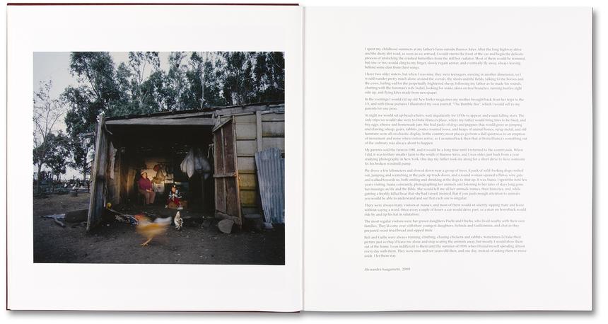 Alessandra Sanguinetti - The Adventures of Guille and Belinda and The Enigmatic Meaning of Their Dreams