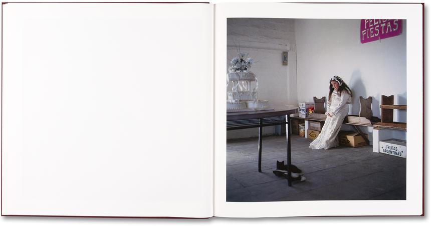 Alessandra Sanguinetti - The Adventures of Guille and Belinda and The Enigmatic Meaning of Their Dreams