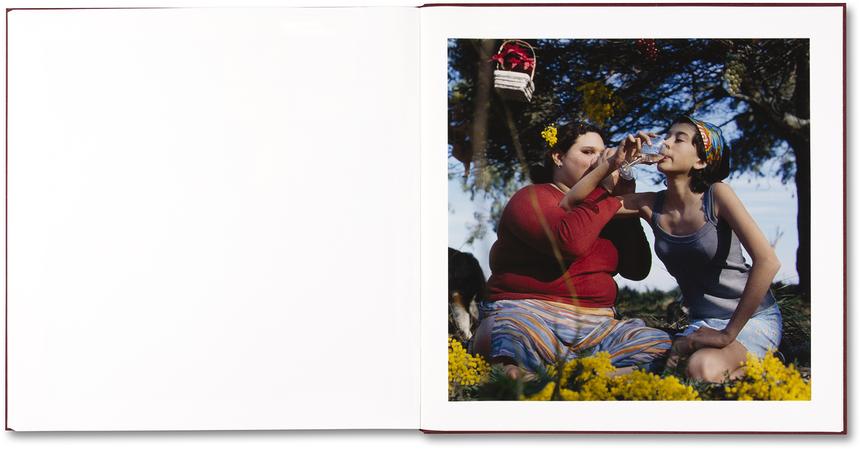 Alessandra Sanguinetti - The Adventures of Guille and Belinda and The Enigmatic Meaning of Their Dreams