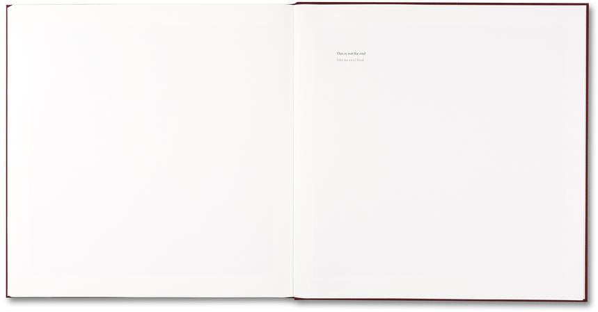 Alessandra Sanguinetti - The Adventures of Guille and Belinda and The Enigmatic Meaning of Their Dreams