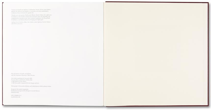 Alessandra Sanguinetti - The Adventures of Guille and Belinda and The Enigmatic Meaning of Their Dreams