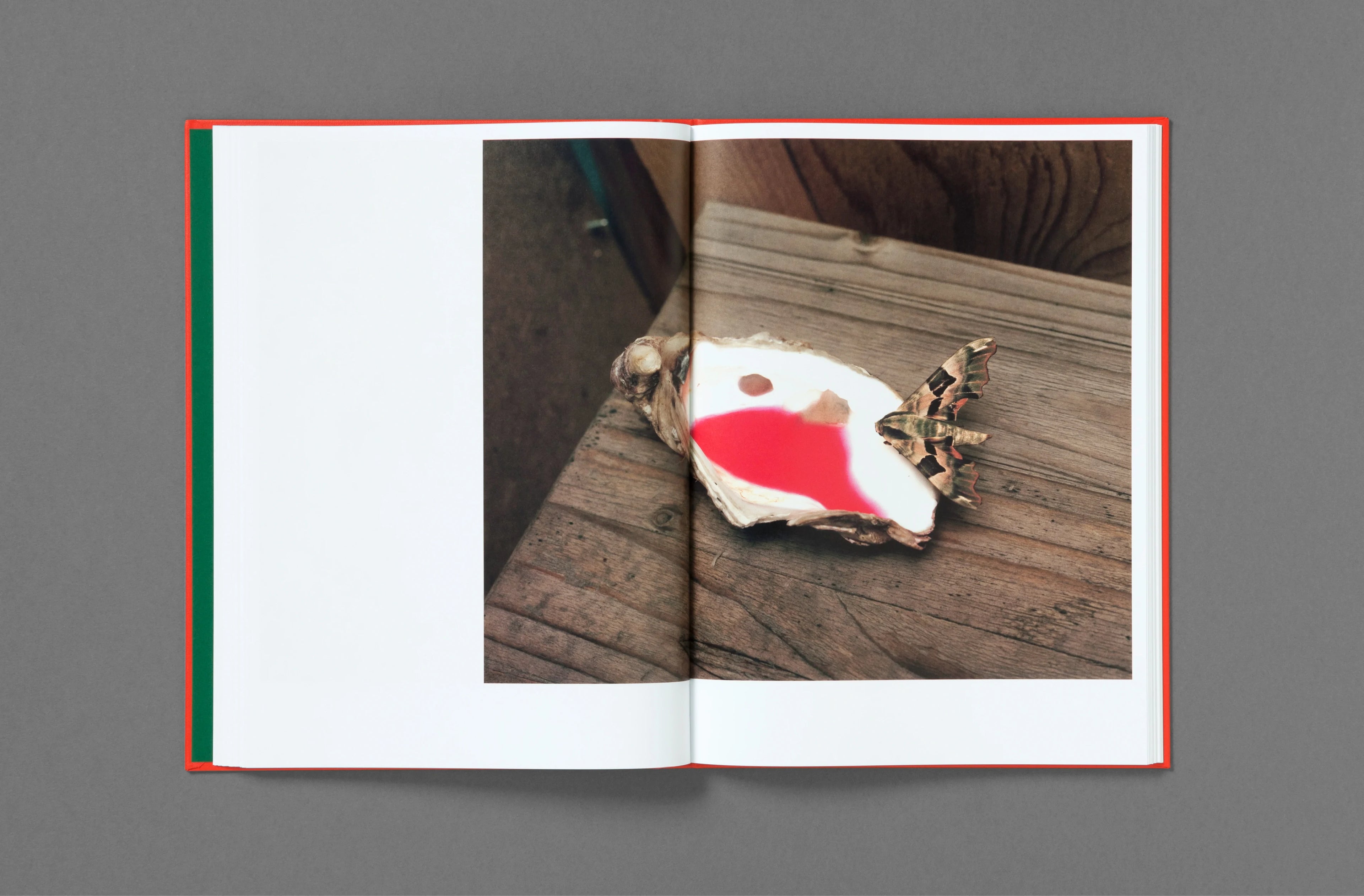 Thomas Rousset – Prabérians