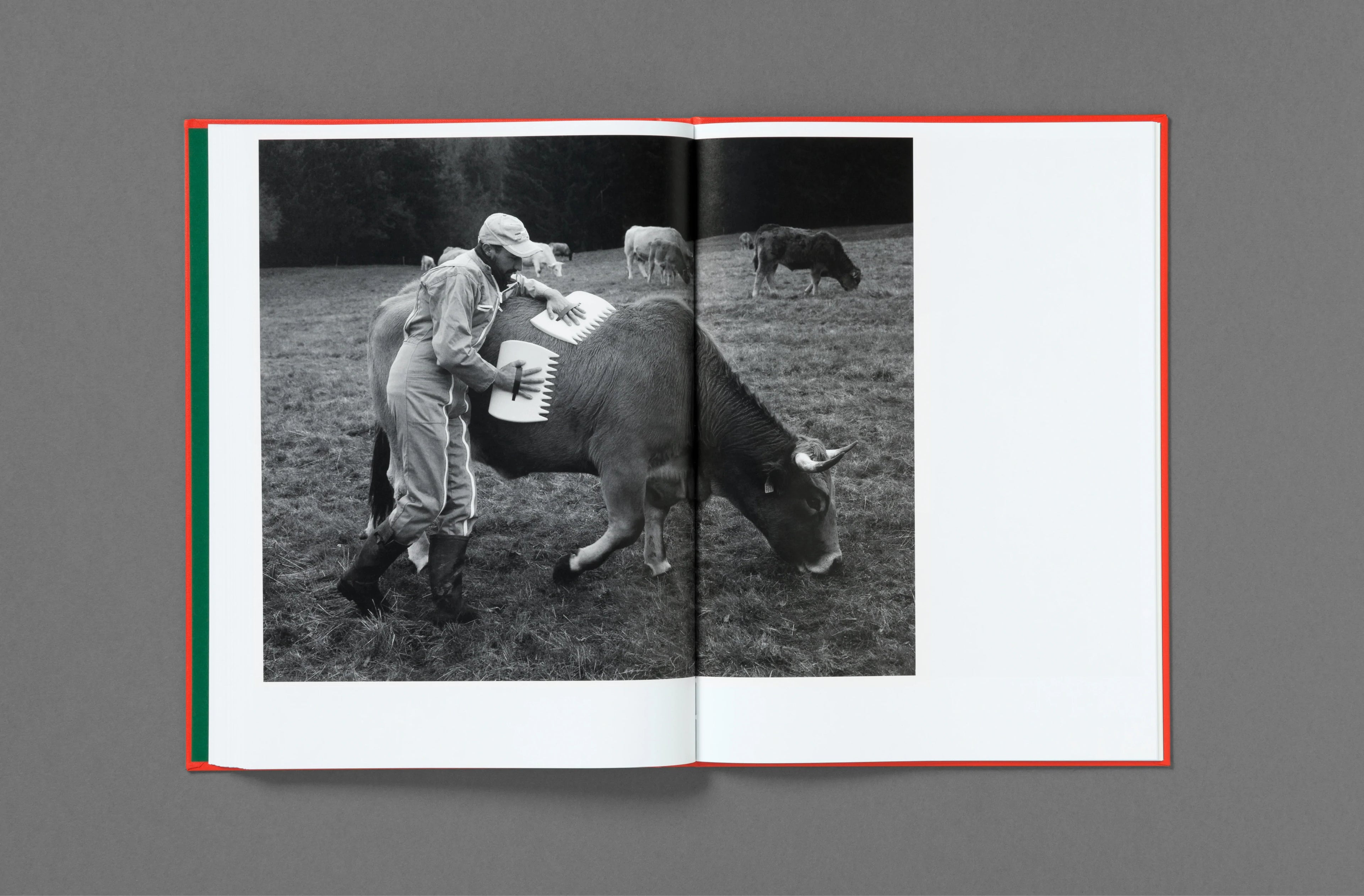 Thomas Rousset – Prabérians