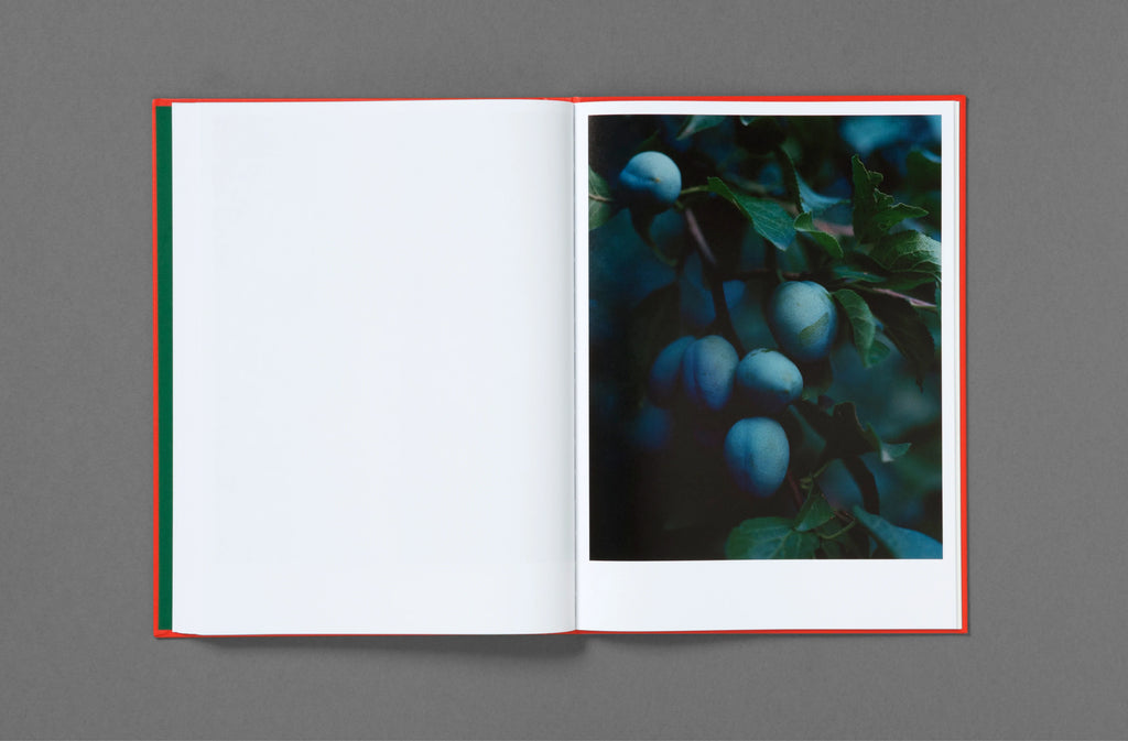 Thomas Rousset – Prabérians