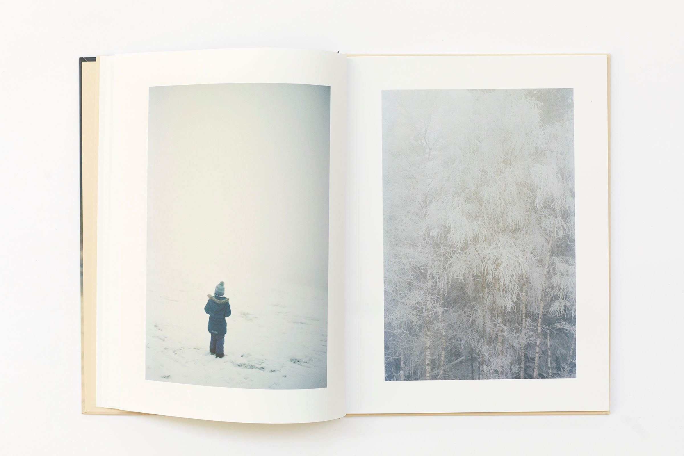 Ola Rindal - Thujord