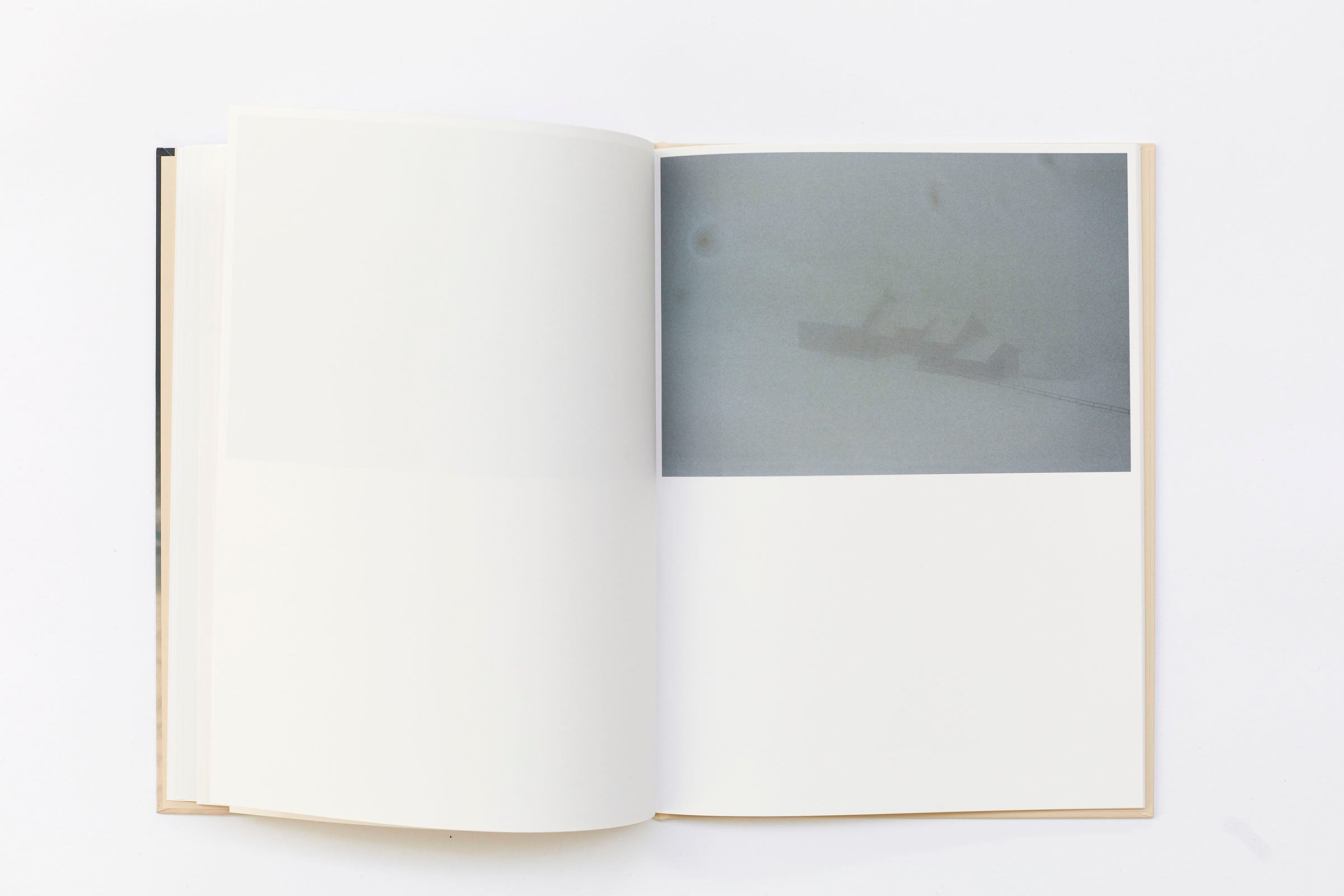 Ola Rindal - Thujord