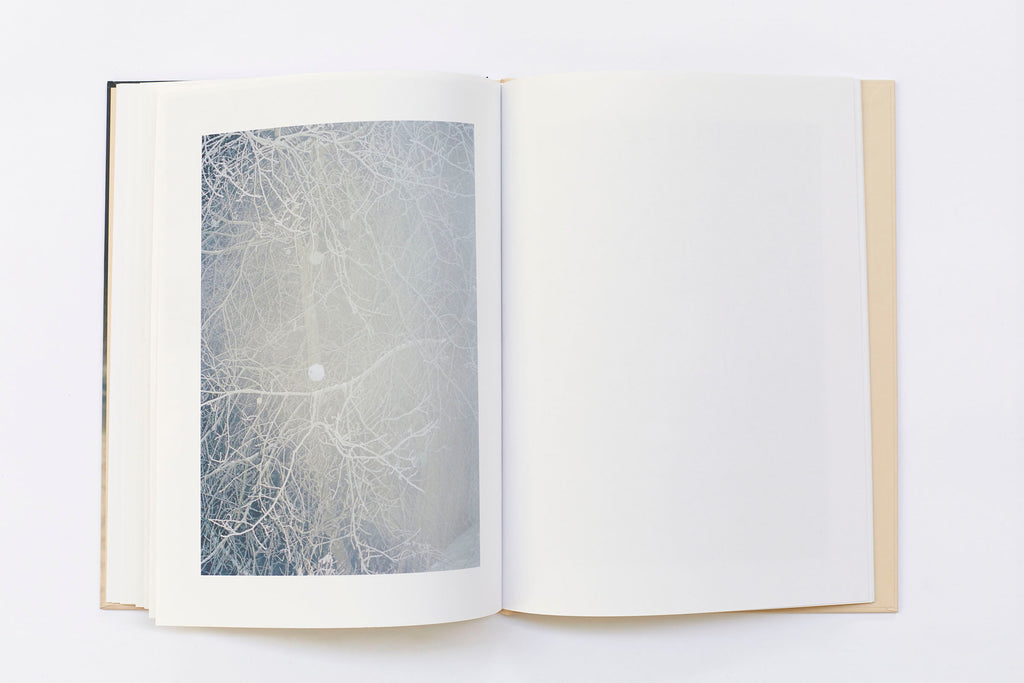 Ola Rindal - Thujord