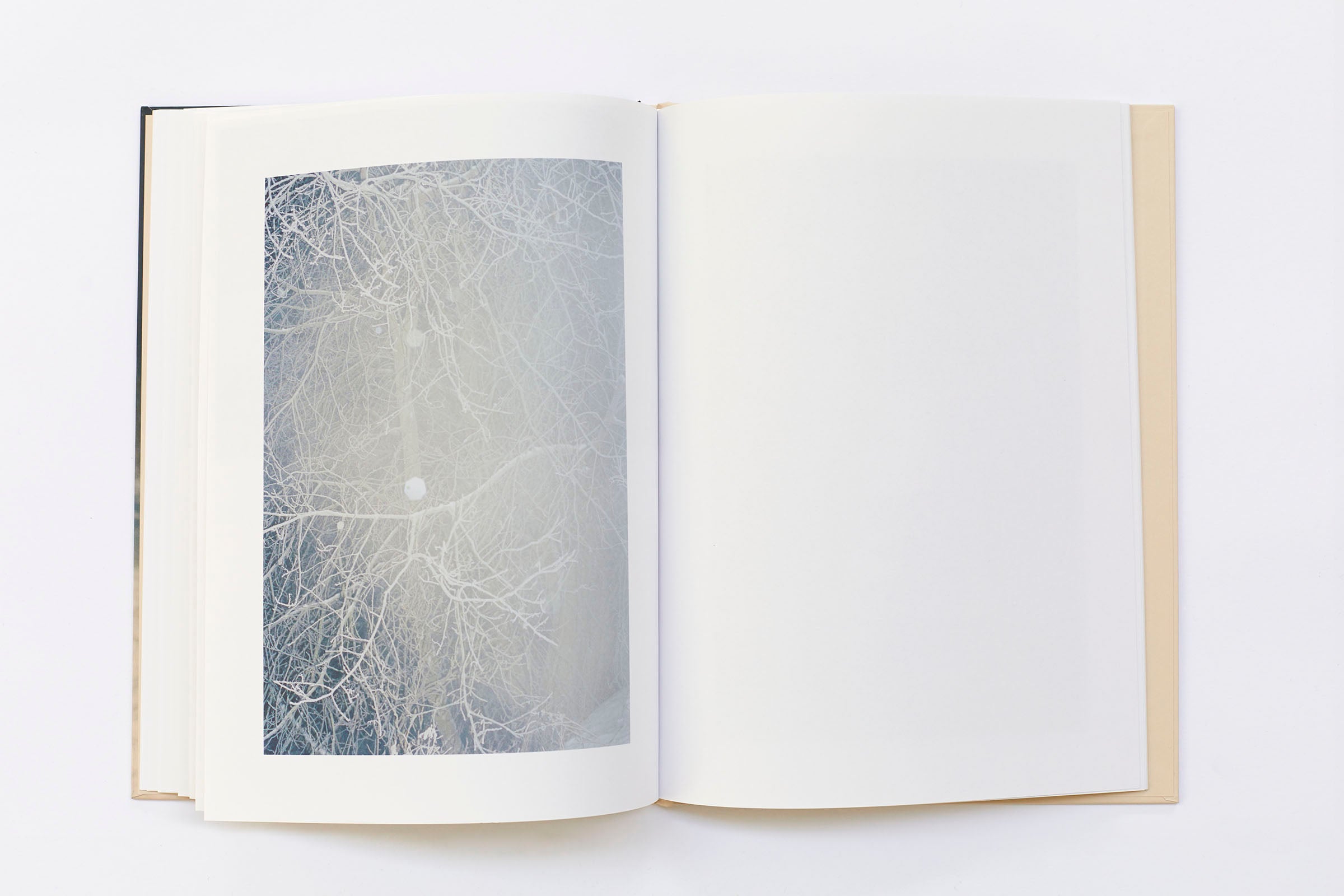 Ola Rindal - Thujord