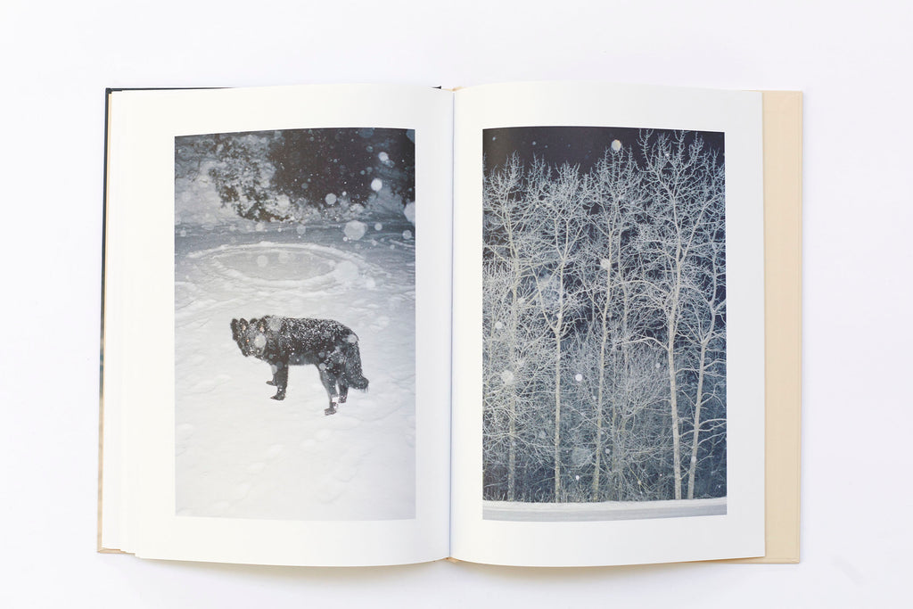 Ola Rindal - Thujord