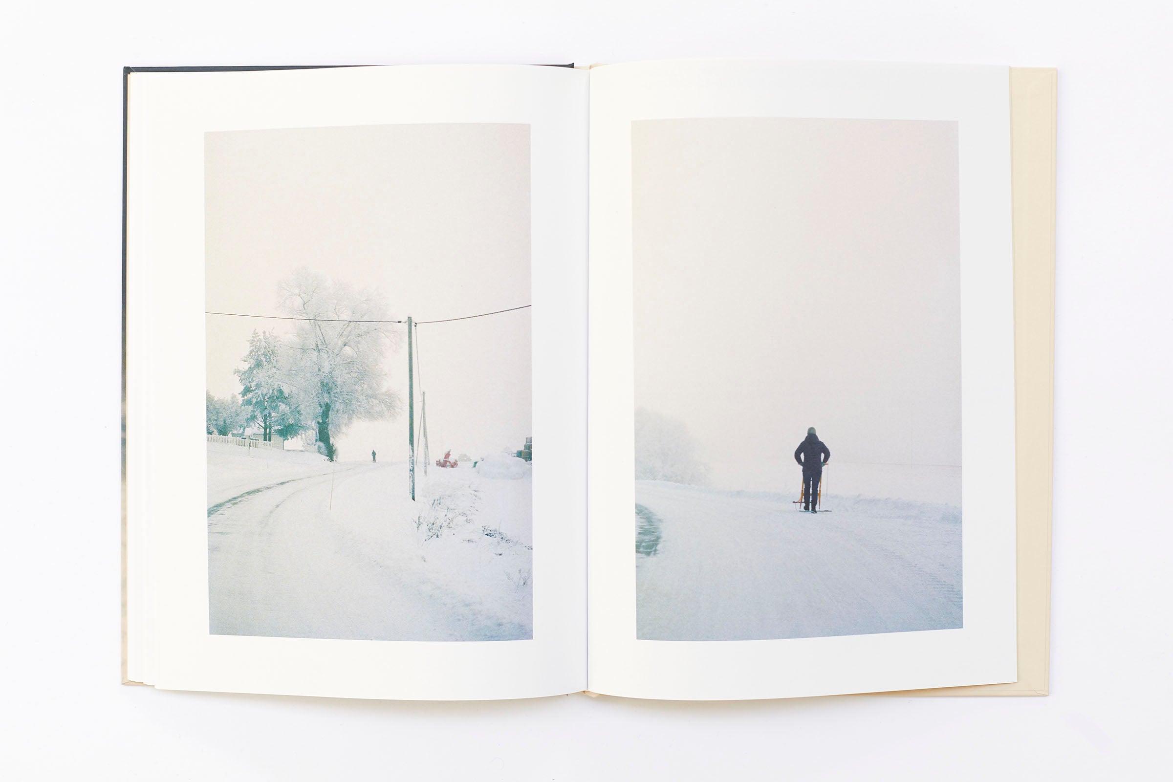 Ola Rindal - Thujord