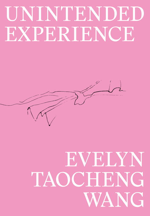 Evelyn Taocheng Wang - Unintended Experience. A job in Amsterdam (reprint)