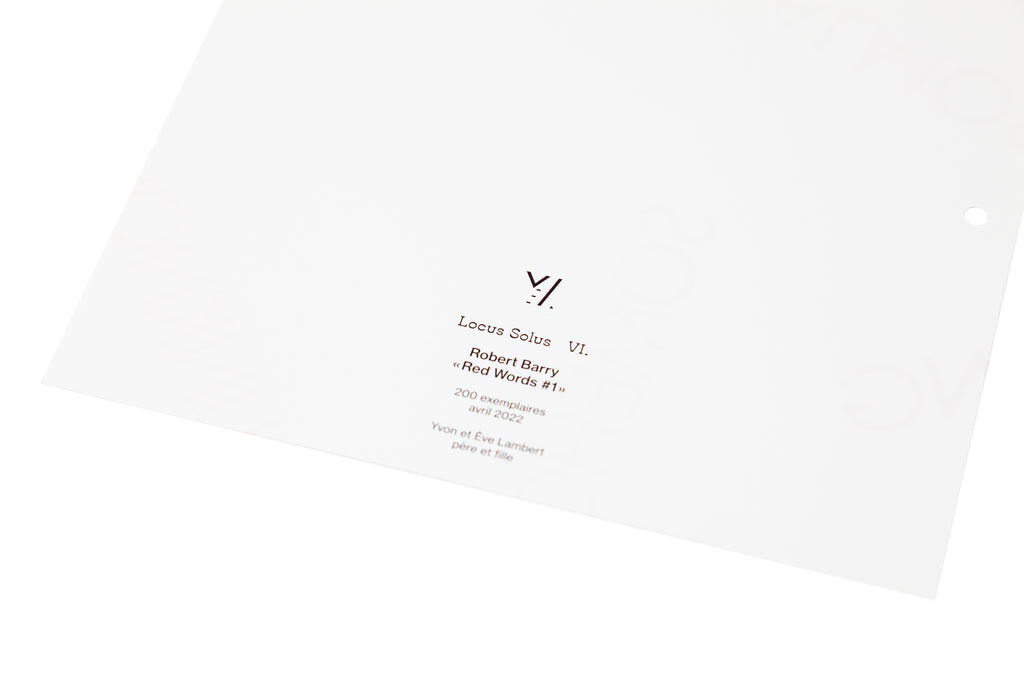 Locus Solus VI. - Robert Barry