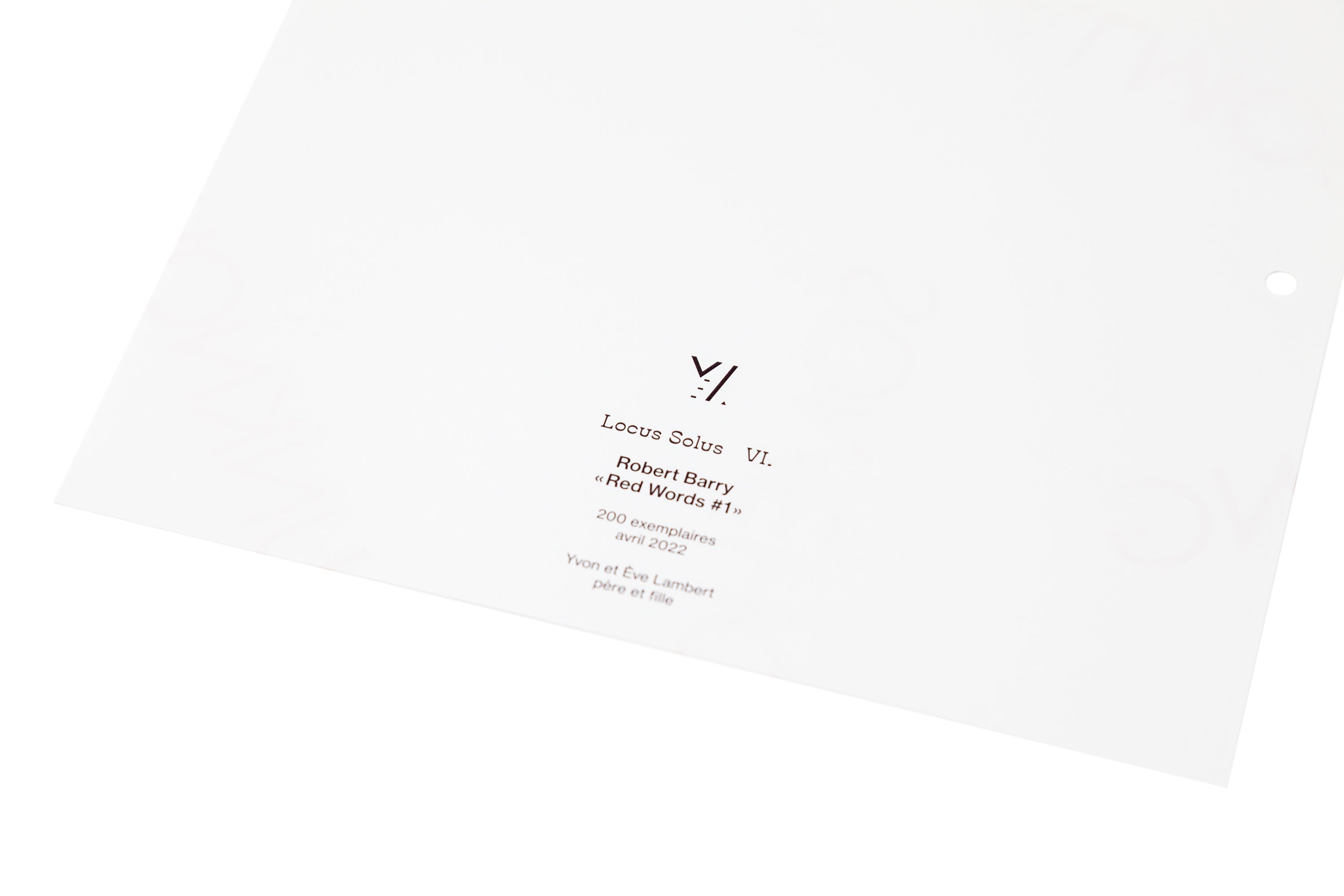 Locus Solus VI. - Robert Barry